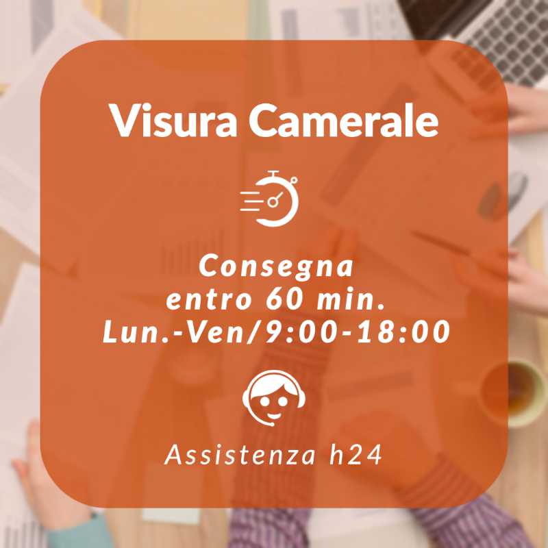 Visura camerale Online