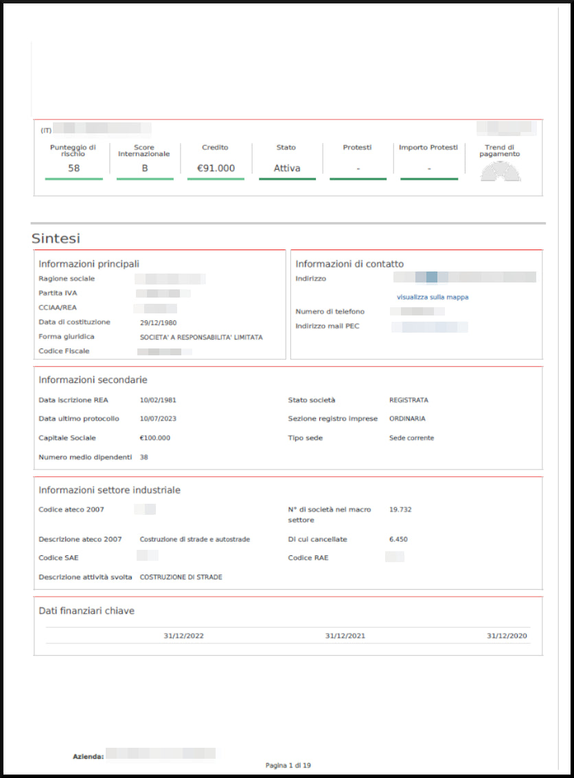 Report impresa Online - Subito