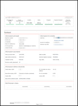 Report impresa Online - Subito