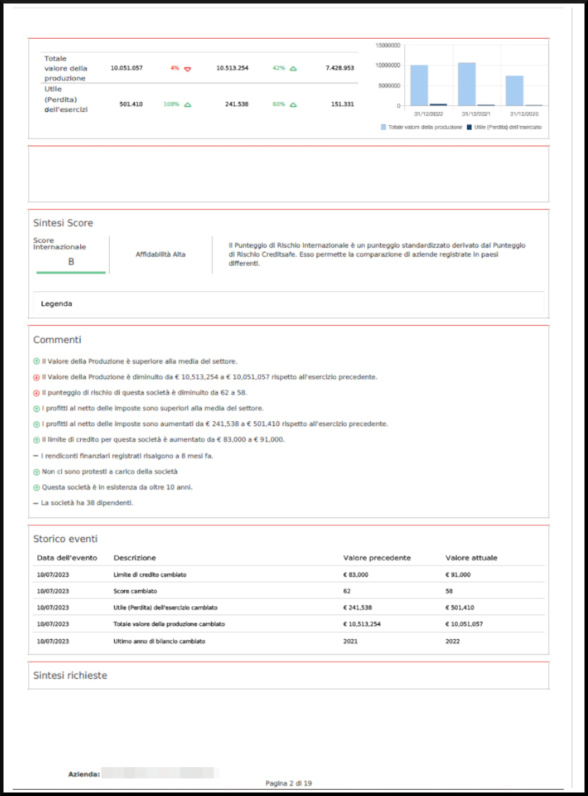 Report impresa Online - Subito