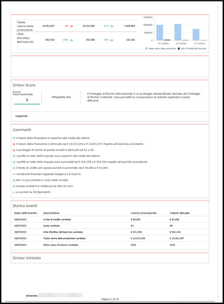 Report impresa Online - Subito