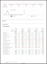 Report impresa Online - Subito